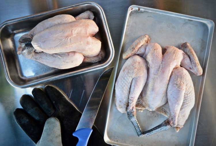 Dry Aged Huhn