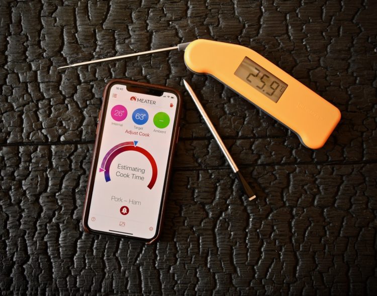 Die besten 2 Thermometer zum Grillen