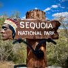 USA Roadtrip LA und Sequoia National Park