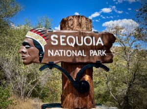 USA Roadtrip LA und Sequoia National Park