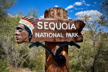 USA Roadtrip LA und Sequoia National Park